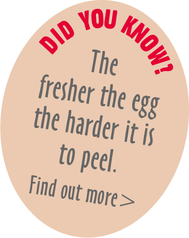 The fresher the egg the harder it is to peel.